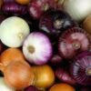 FRESH ONIONS - Image 3